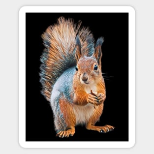 Squirrel - Woodland Themed Kids Room, Funny Gifts For Forester, Cute Animals Sticker